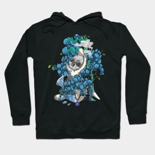 Vanitas de Aquarius Hoodie